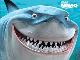 bruce from nemo resized 600