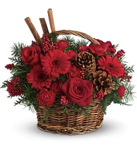 Christmas Gerbera Daisies