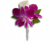 c--users-rickcanale-pictures-prom3.jpg c--users-rickcanale-pictures-prom3.jpg