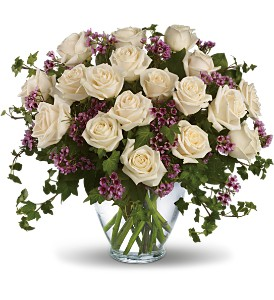 white roses in boston resized 600