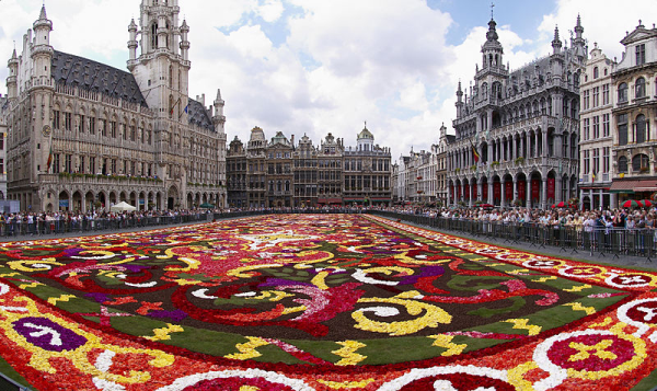 Brussels floral carpet B resized 600