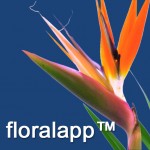 flower app in Boston