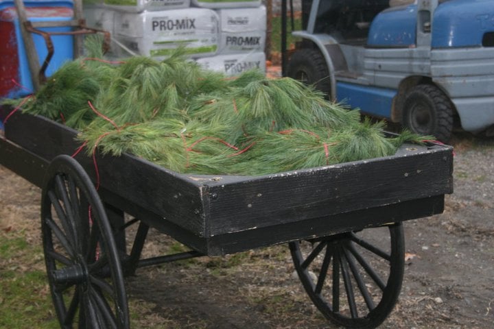 Wagon full of White Pine Roping