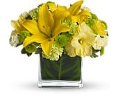 Pot of Gold Flowers for St Patrick's Day