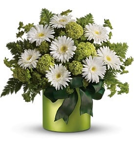 c--users-rickcanale-pictures-st_patricks_day_flowers.jpg
