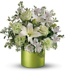 Saint Patricks Day from Boston Florist