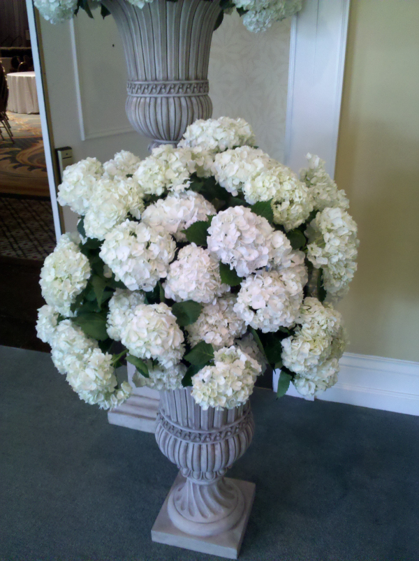 white hydrangea urn