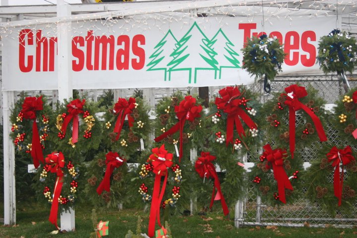 Christmas Wreaths in Boston