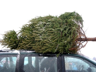 christmas tree car game
