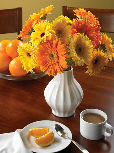 gerberas-resized-600