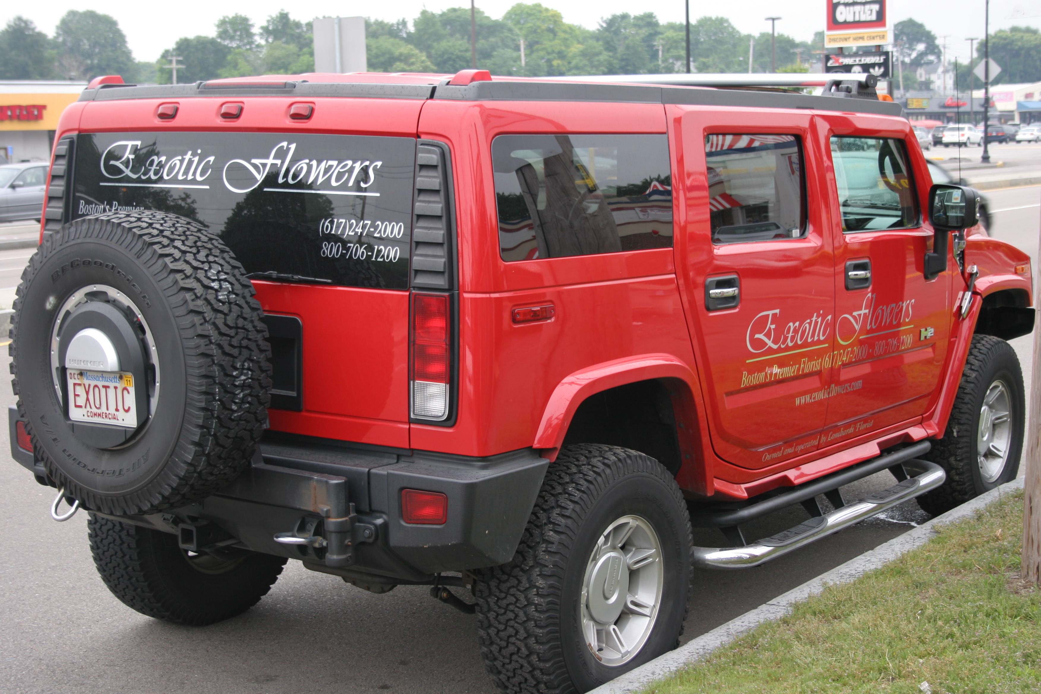 Exotic Flowers Hummer