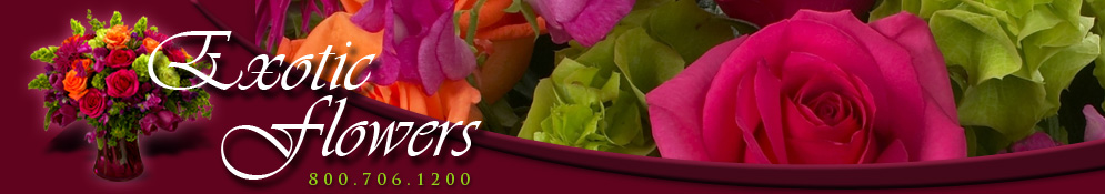  Exotic Flowers