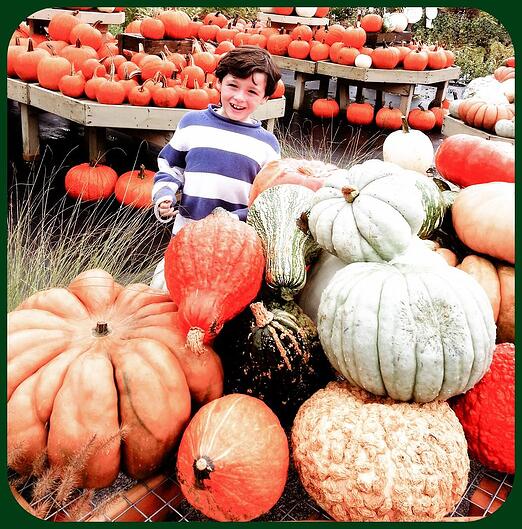 ryan_pumpkins