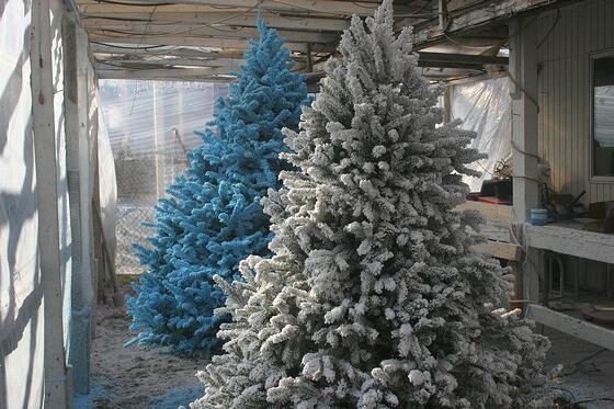 snow_flocked_christmas_tree