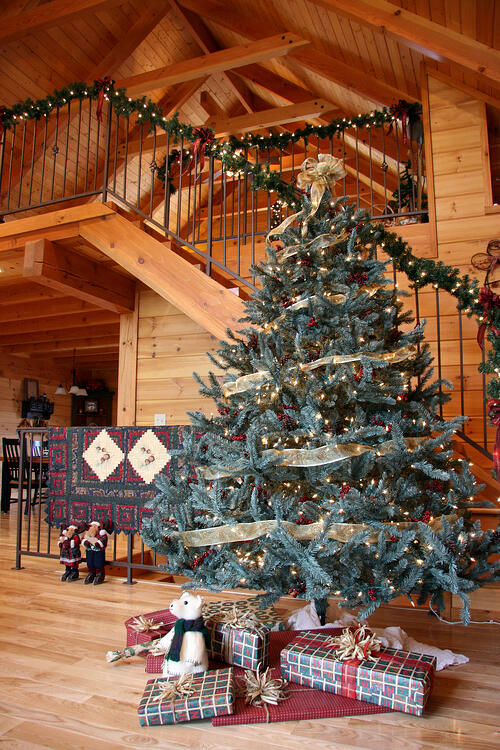 Different Types of Christmas Trees