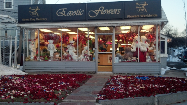 Exotic Flowers Roslindale