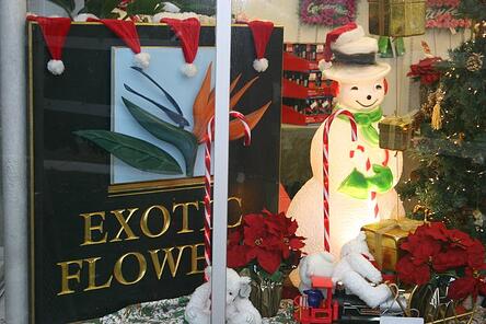 HOLIDAY_DISPLAY_WINDOW_FLOWER_SHOP