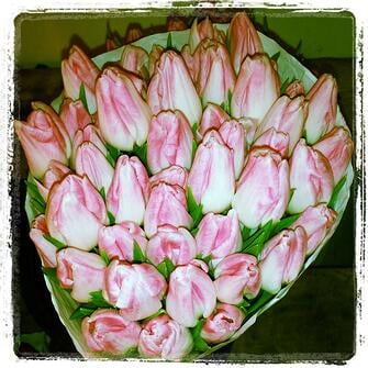 tulips_in_boston