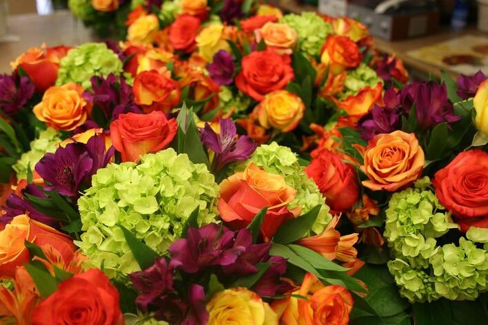 cold_weather_flowers.jpg