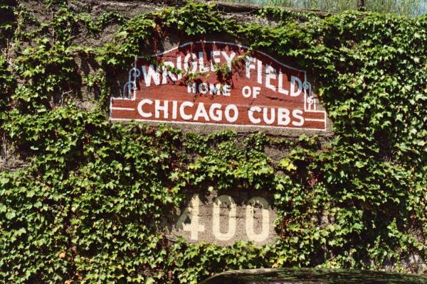 wrigley field ivy chicago cubs resized 600