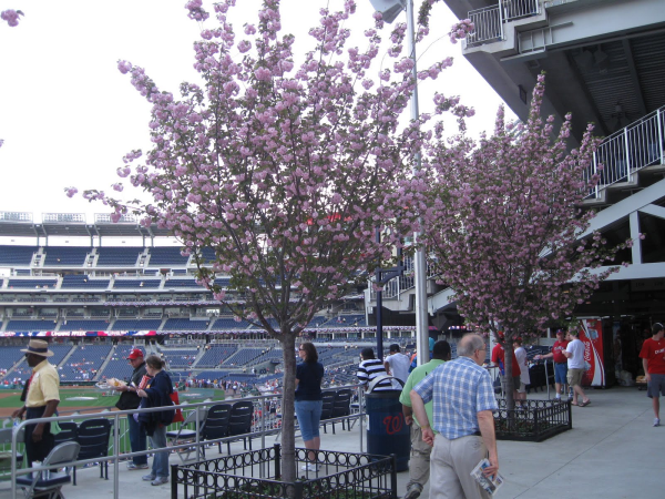 Rockies, Cubs, Nationals, Orioles know Flowers & Plants Welcome Fans