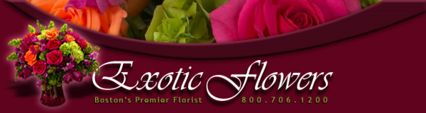 exotic flowers boston resized 600