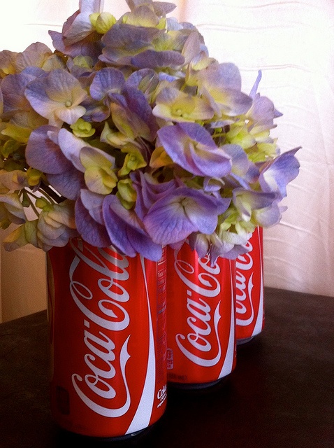 coca cola cans and hydrangea