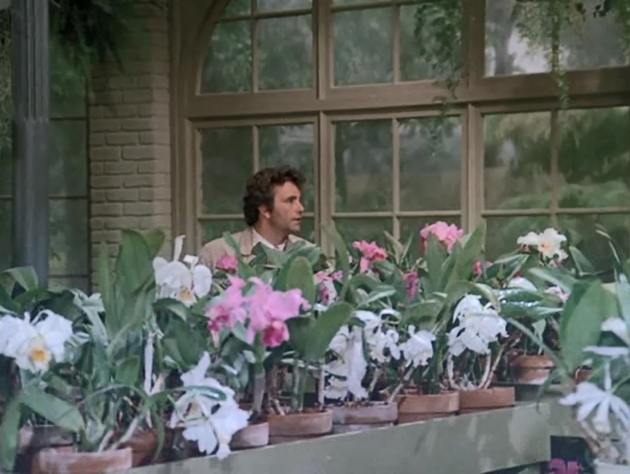 Exotic Flowers - Flower Delivery Today in Boston - Blog | Hollywood Florist