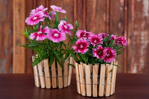 Clothespin-transformed-into-flowers-vases.jpg