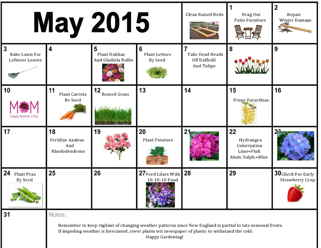 Gardening Calendar for May in Boston