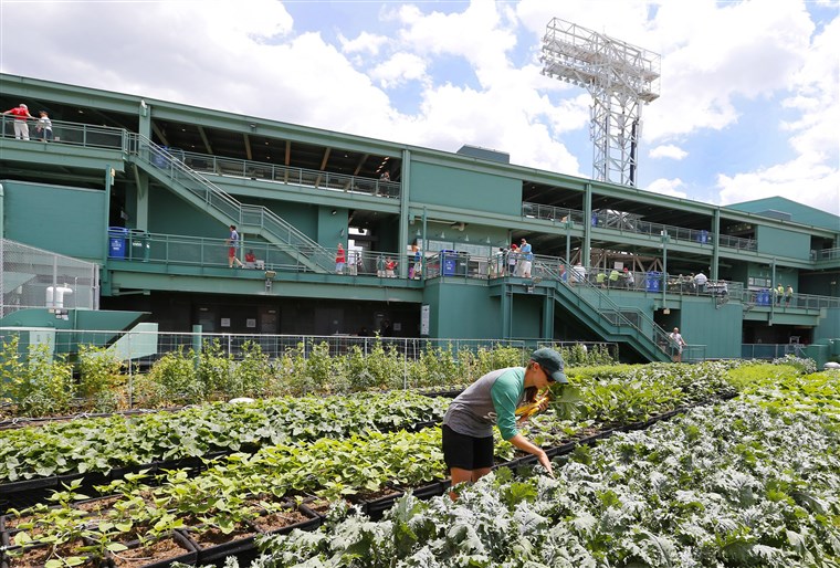 NBC NEWS FENWAY