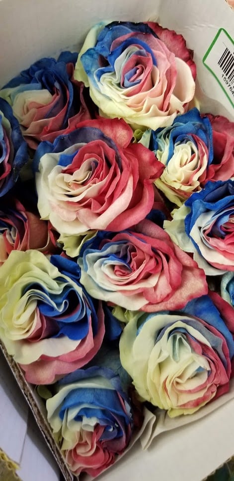 PATRIOT ROSES