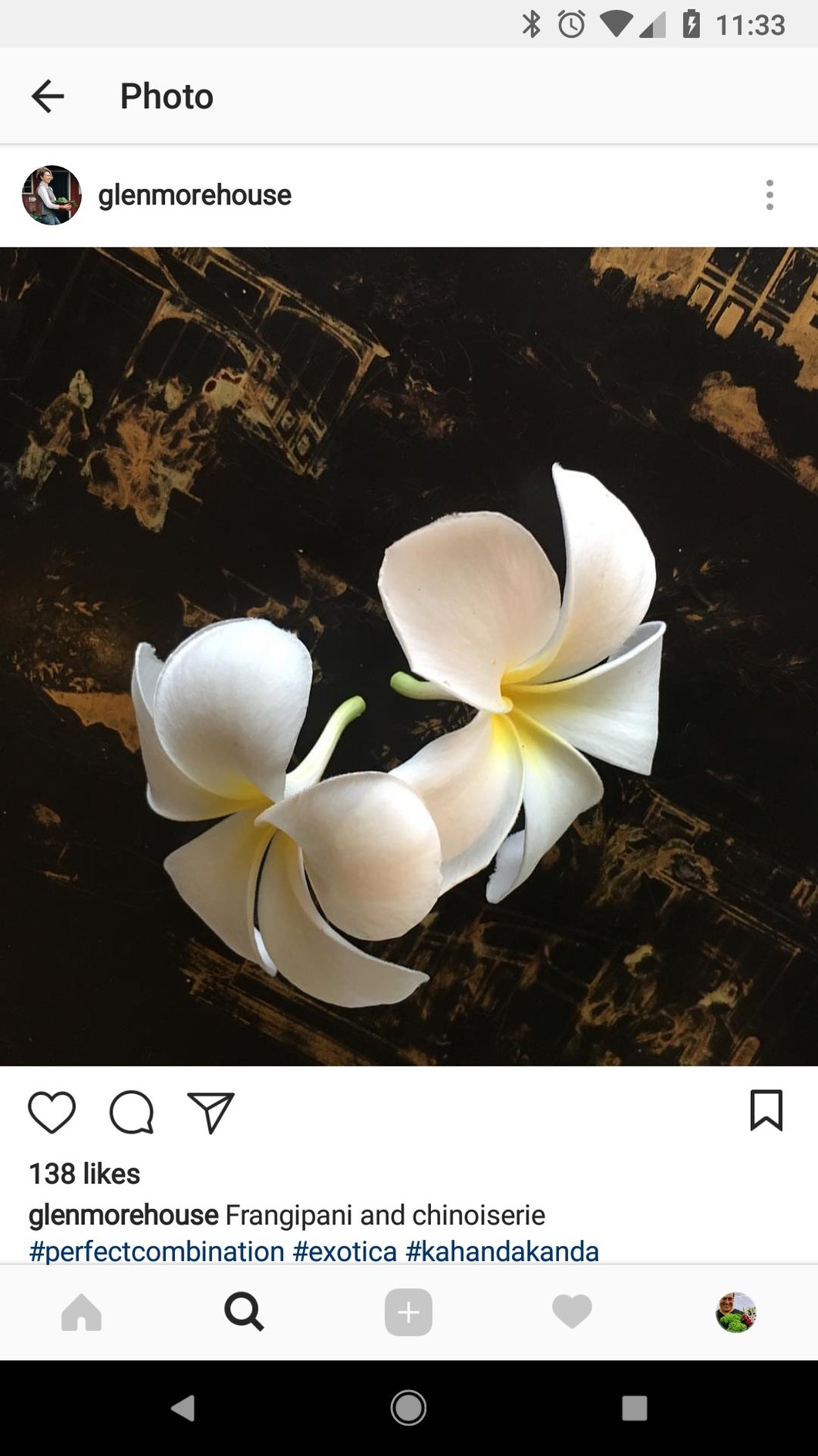 The Symbolic Meaning of Plumeria