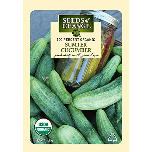 Seeds-of-Change-Certified-Organic-Cucumber-Sumter-17-grams-55-Seeds-Pack-0.jpg