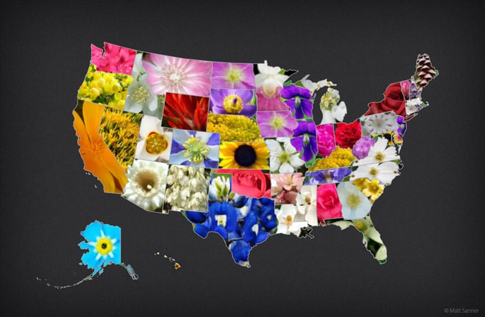 USStateFlowerMap.jpg