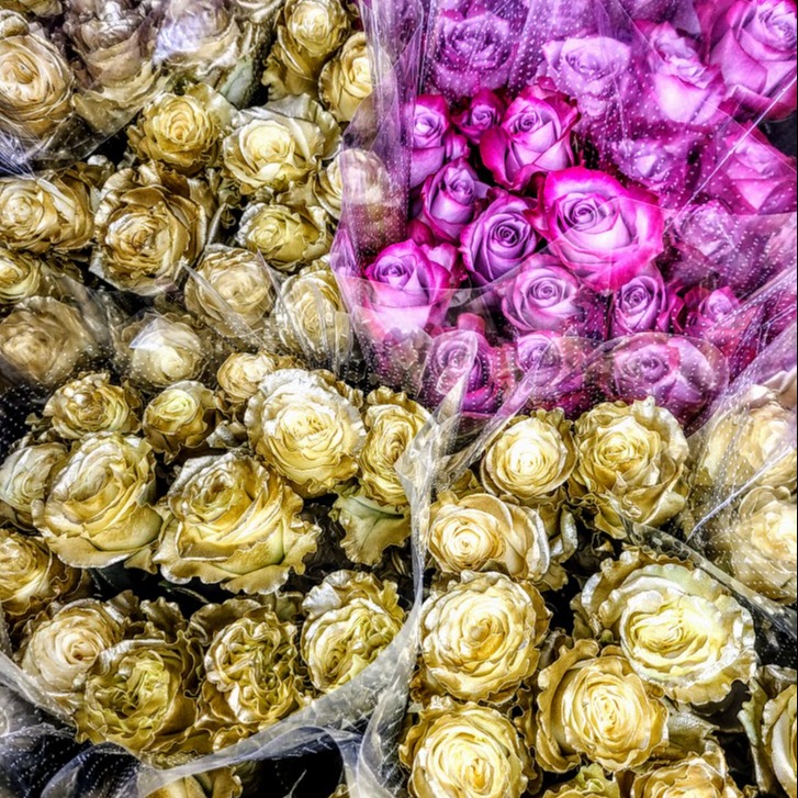 gold roses