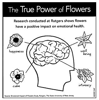 healing powers of flowers.jpg