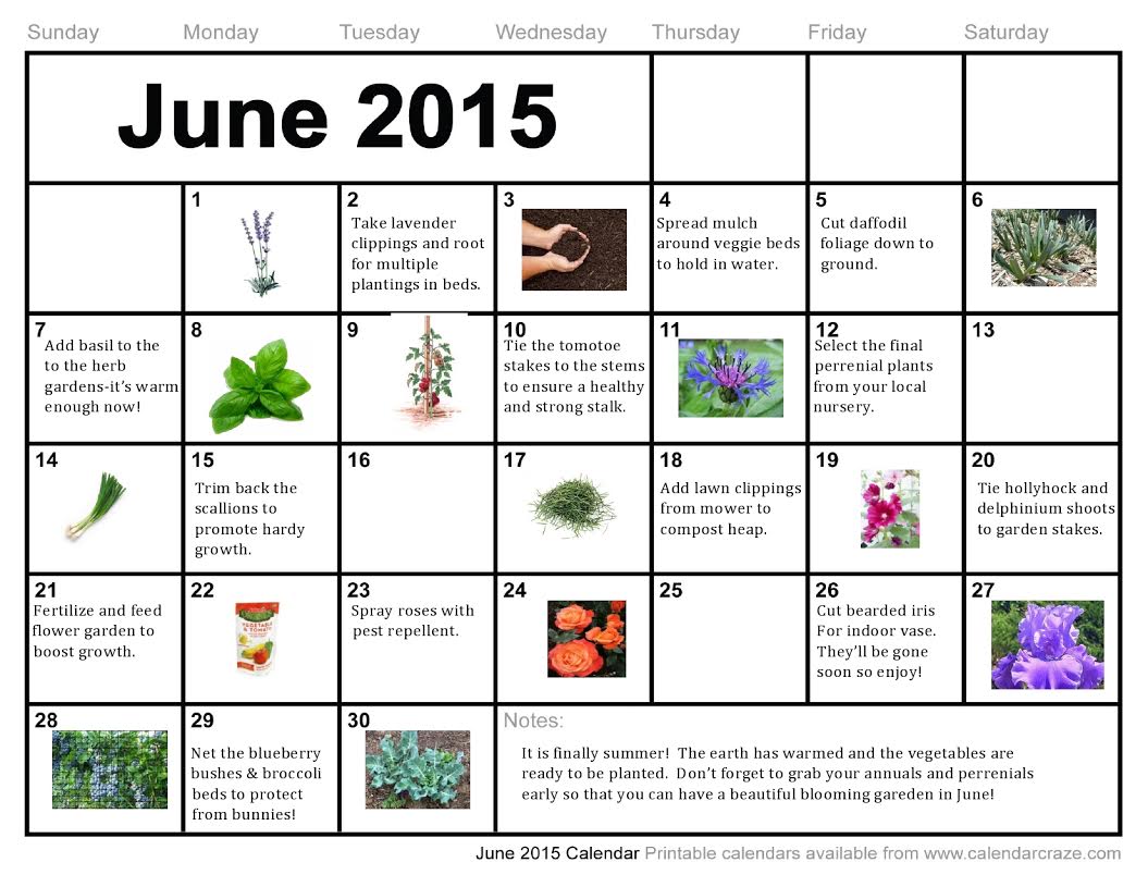 Gardening Calendar for June in Boston