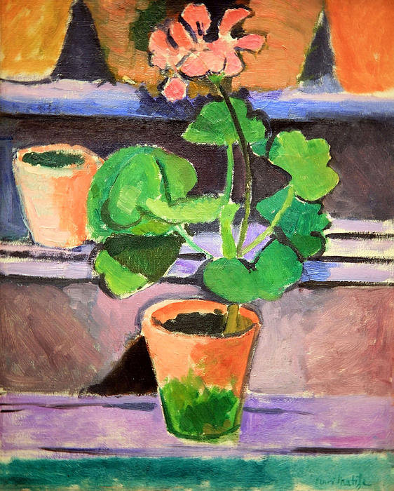 matisses-pot-of-geraniums-cora-wandel.jpg