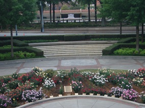 mlk_jr_peace_garden.jpg