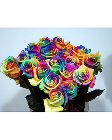 rainbow roses boston