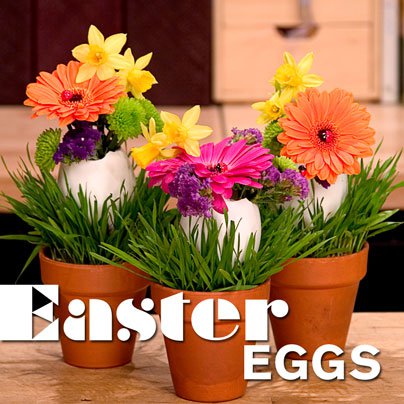easter_eggs.jpg