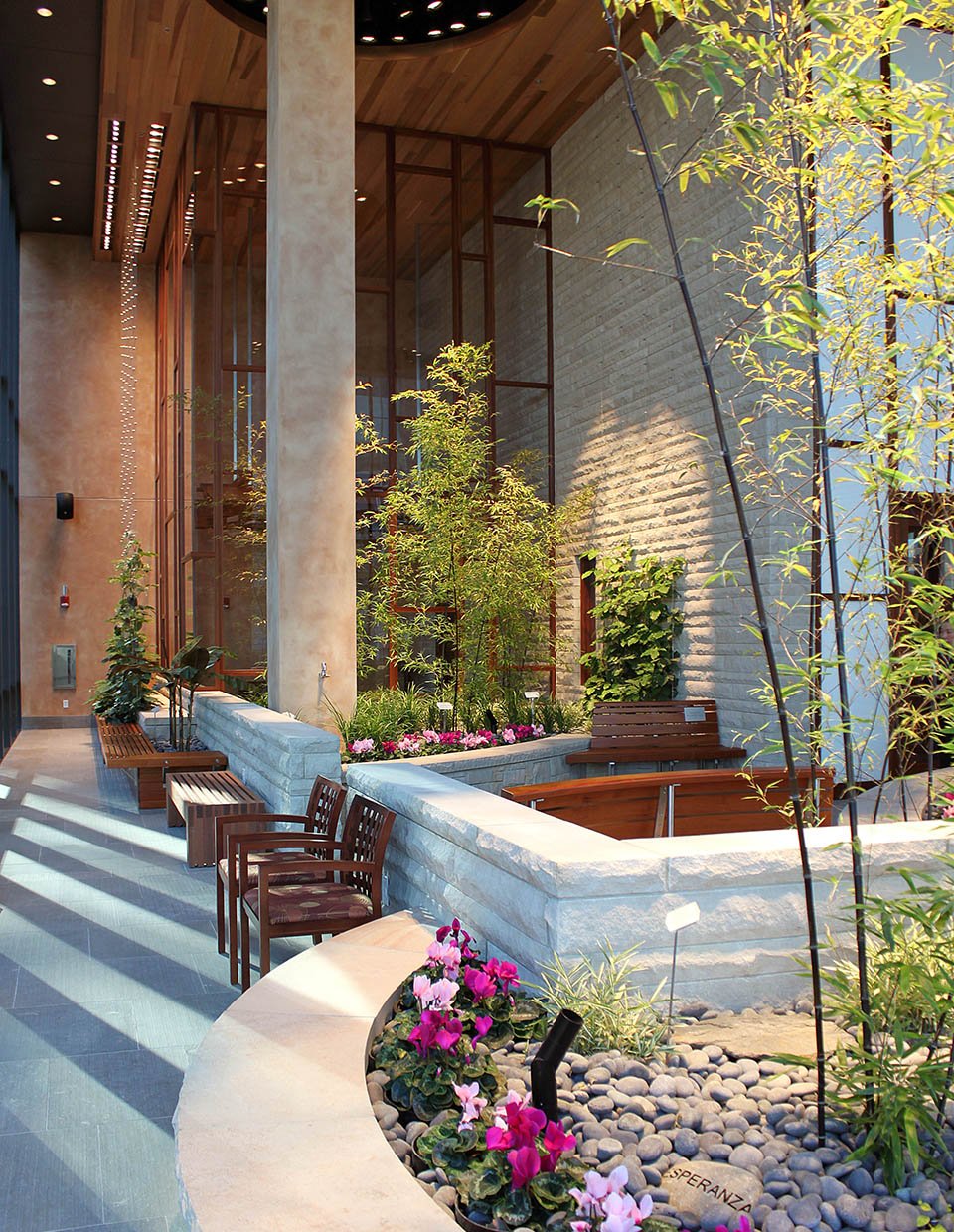 What Are Healing Gardens