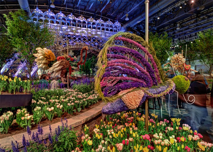 2016-boston-flower-show