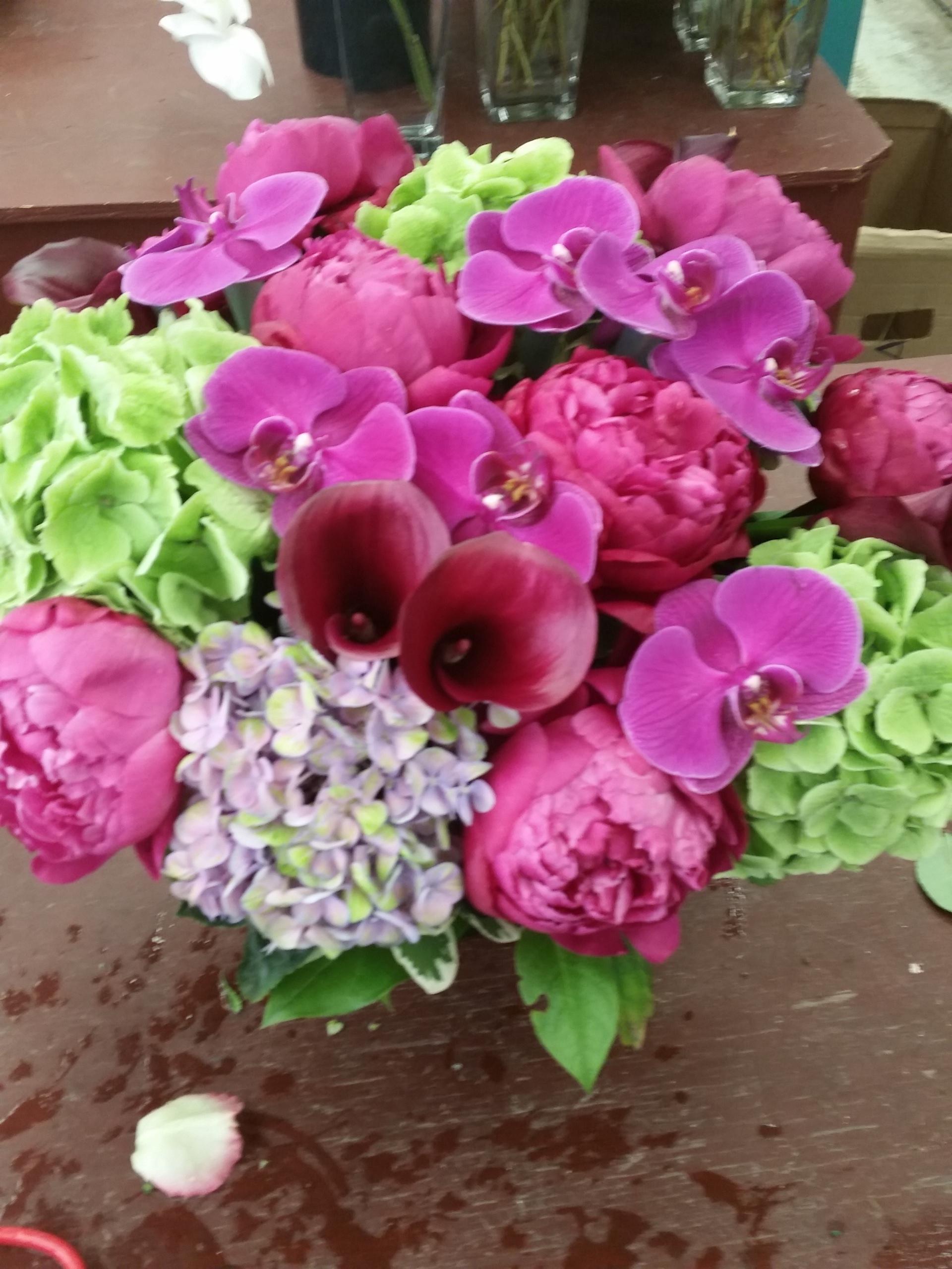 Trends in Late Spring Flowers